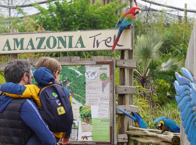 Gezin in onderdompeling met vrij vliegende papegaaien in de gigantische volière van Parrot World, vlakbij Disneyland Paris