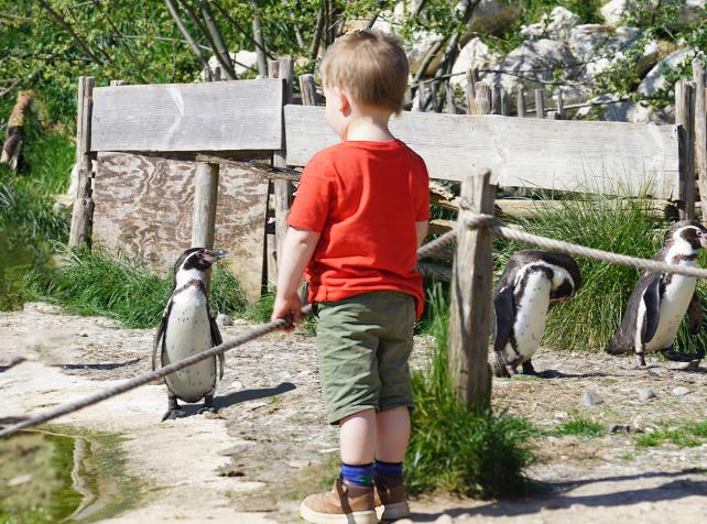 Parc animalier immersif proche de Paris avec manchots - Parrot World décor Amérique du Sud