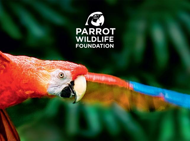 Parrot Wildlife Foundation - Conservation et protection de la biodiversité - Parrot World