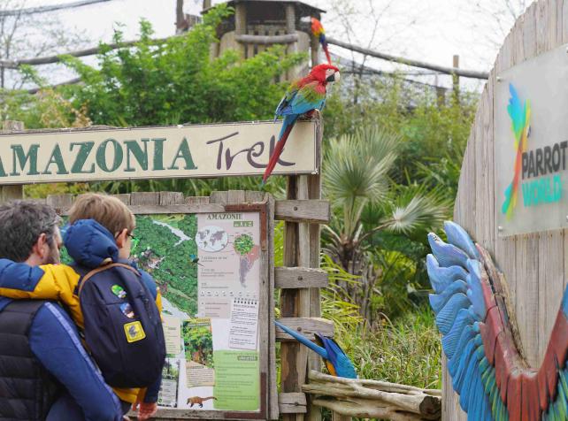 Parrot World - parc animalier immersif grande volière amazonienne