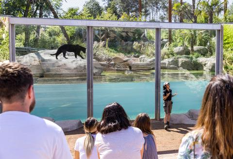 Parc animalier immersif proche de Paris avec animations pédagogiques - Parrot World décor Amérique du Sud