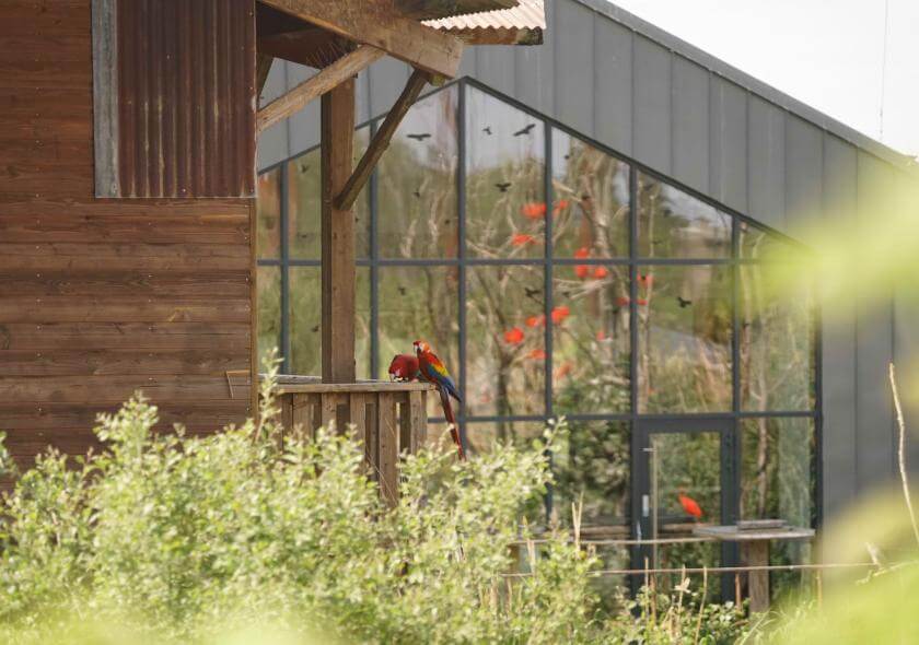 Parrot World - Lodge 21