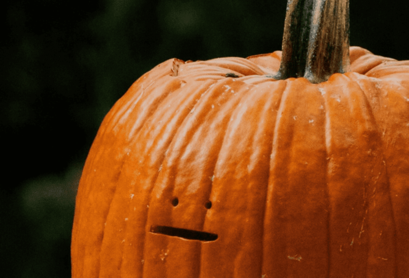Que faire pour Halloween 2026 en Seine-et-Marne (77) ? - Le guide Parrot World