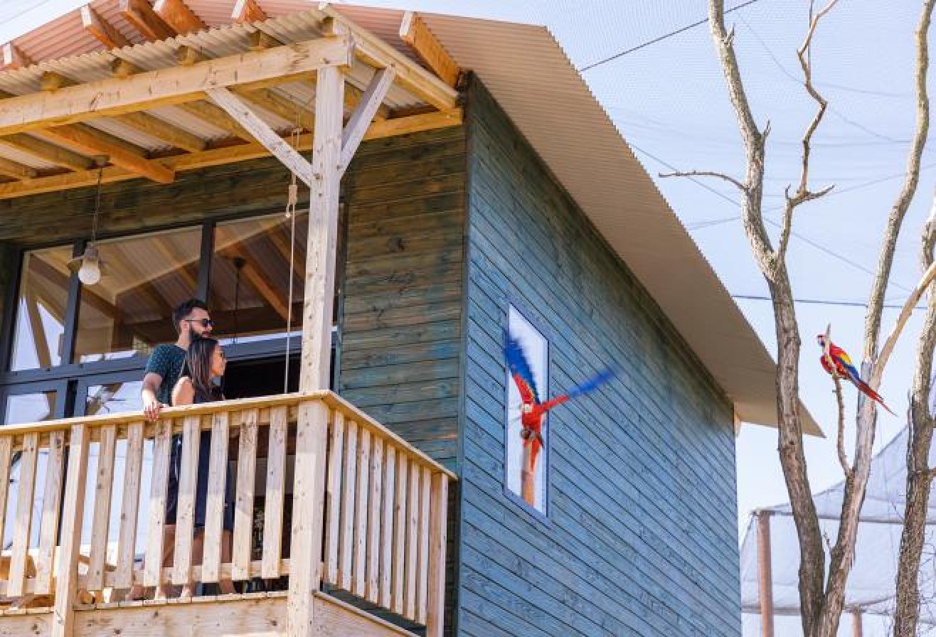 Dormir au milieu des animaux près de Paris dans un lodge avec vue sur les perroquets