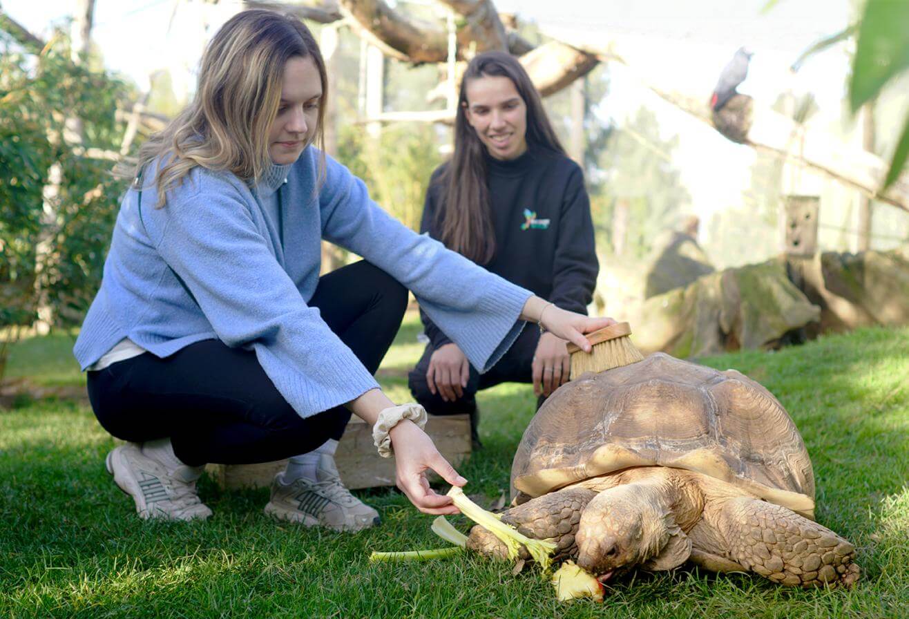 Où approcher des animaux en Île-de-France | Sorties en famille