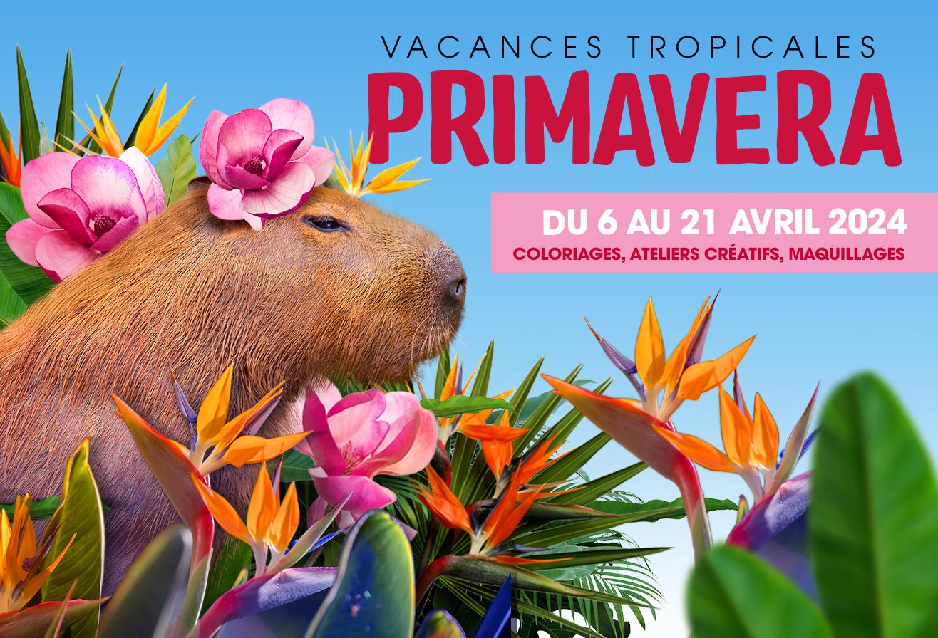 Primavera