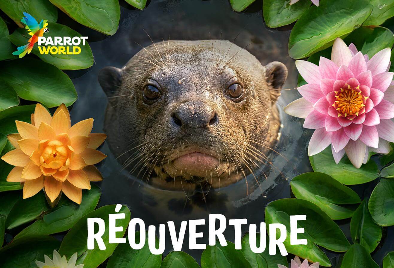 OTP260003_OP_Reouverture_2026_Encart_Push_1316x896px