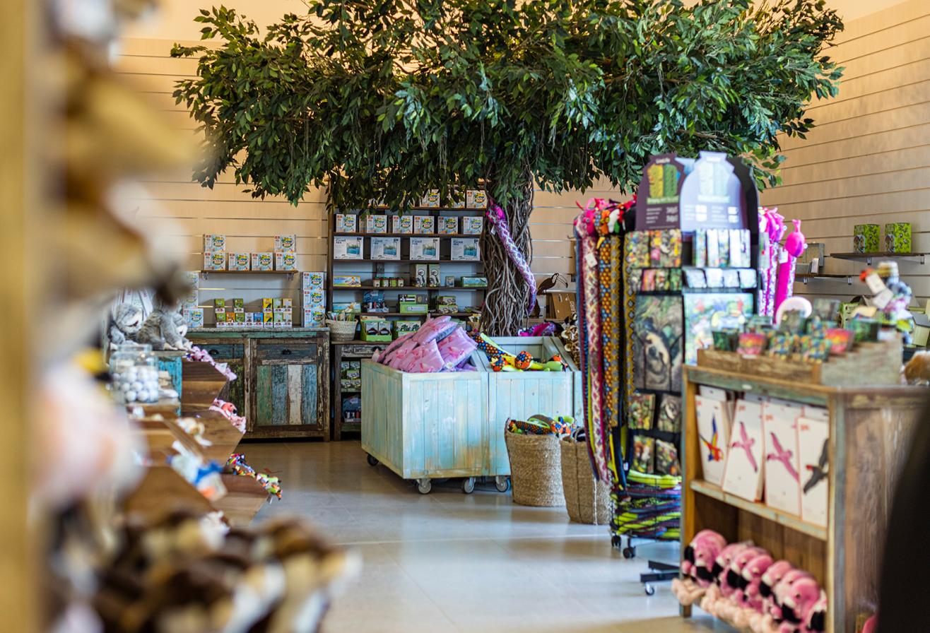 Parrot World - Boutique 1 ©Ronan ROCHER