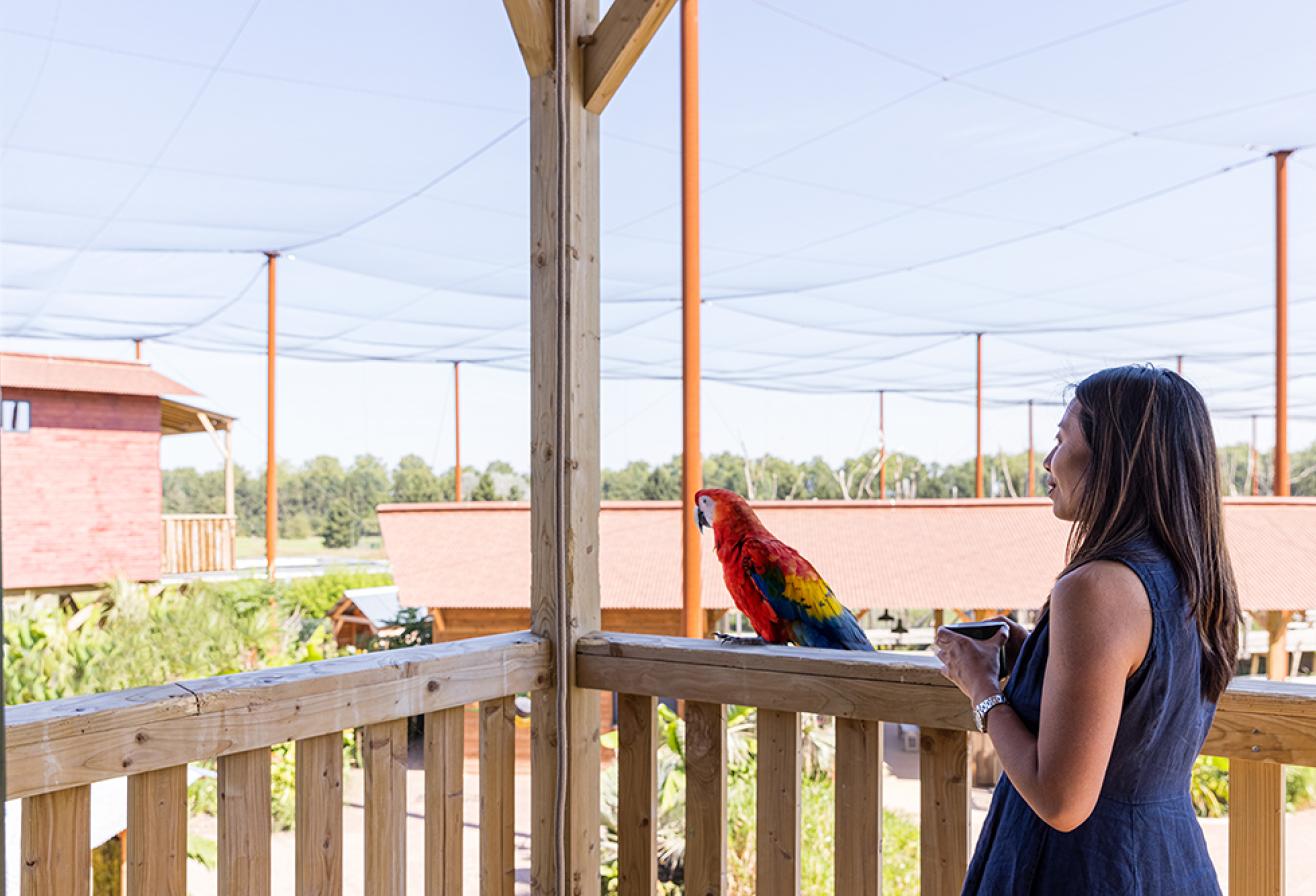 Parrot World - Lodge Amazonie 6 ©Ronan ROCHER - 150dpi