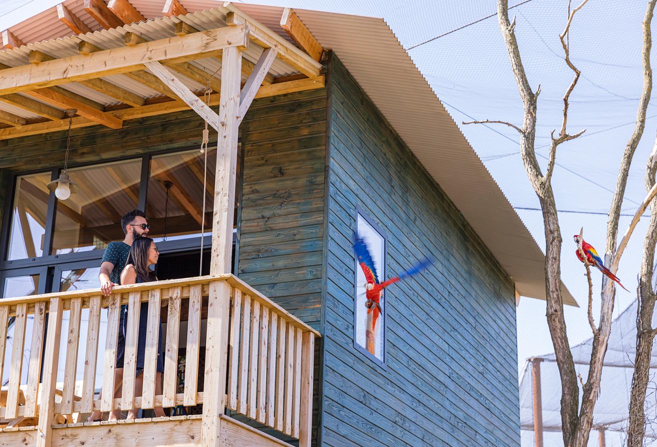 Parrot World - Vue Lodge 1 ©Ronan ROCHER