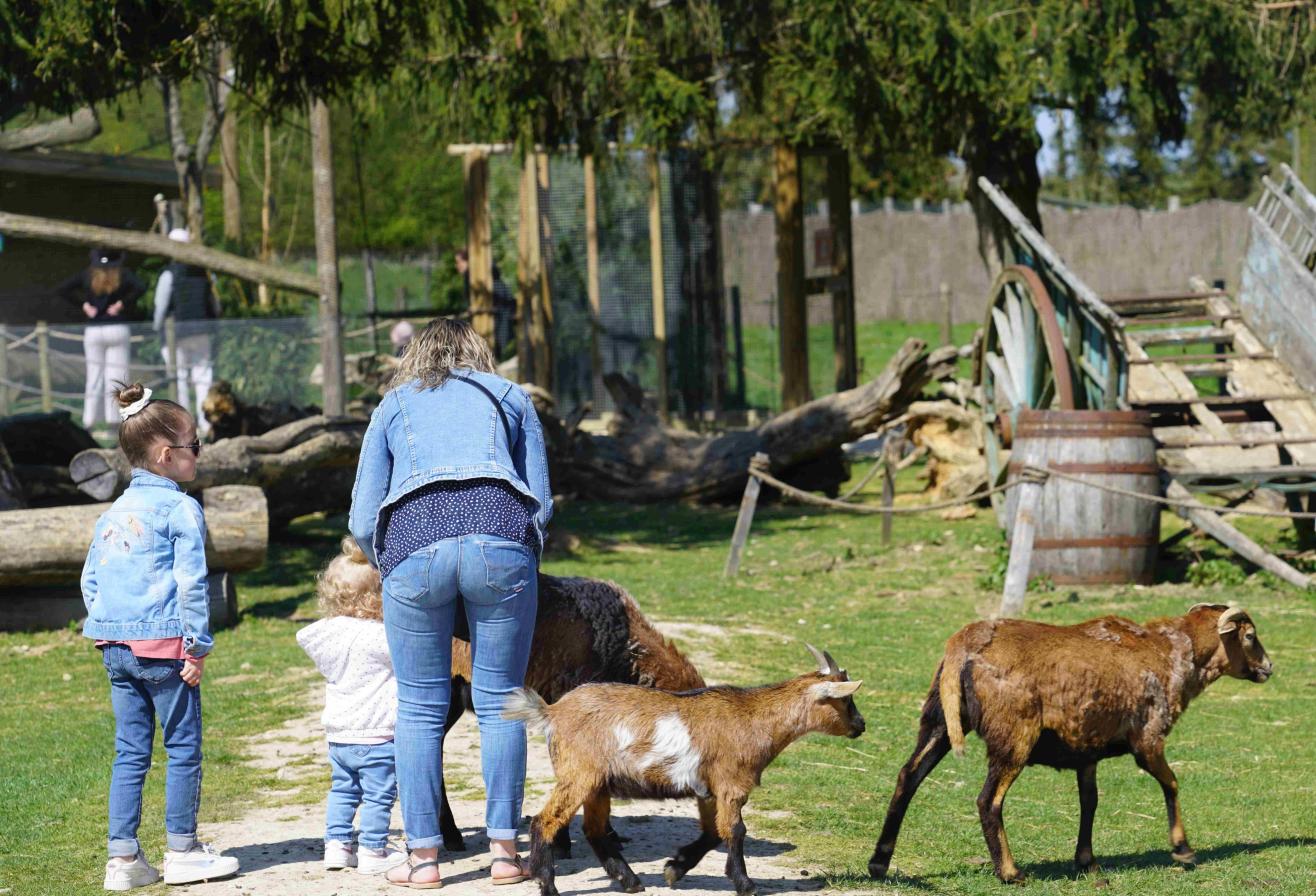 Parrot World parc animalier immersif du 77