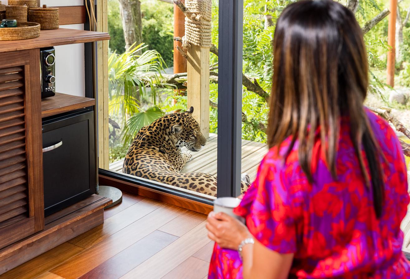 Lodge Jaguar