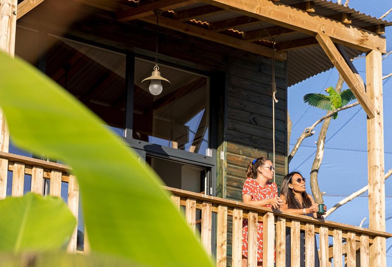 lodge amazonie