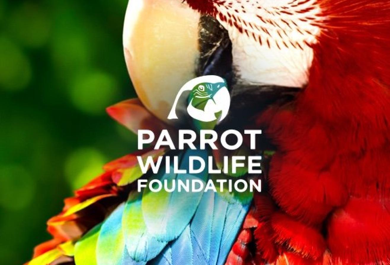 La Parrot Wildlife Foundation. La fondation de Parrot World. Le parc animalier immersif proche de Paris - Décor Amérique du Sud