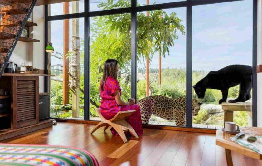 Nuit au zoo près de Paris face aux jaguars dans un lodge Parrot World
