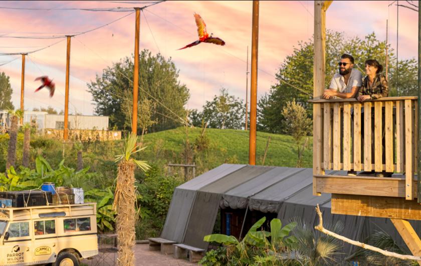 Dormir avec les animaux dans un hébergement insolite à Parrot World avec vue sur les perroquets