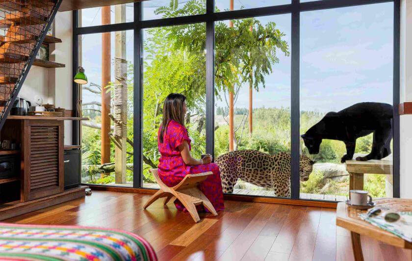 Dormir avec les animaux - Lodges Jaguar 2 - Parrot World