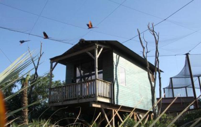 Dormir avec les animaux près de Paris dans un lodge immersif à Parrot World