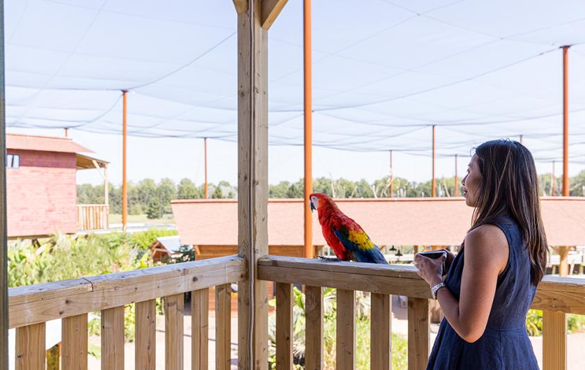 Parrot World - Lodge Amazonie 6 ©Ronan ROCHER - 150dpi