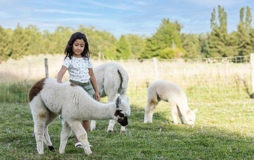 Parrot World - Ranch de Enfants 1 ©Ronan ROCHER