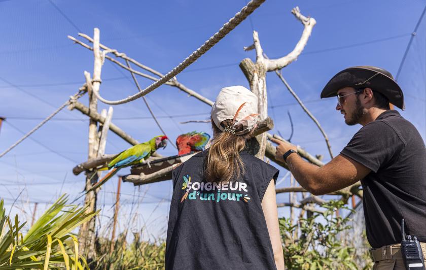 Parrot World - Soigneur d'un Jour 6 ©Ronan ROCHER