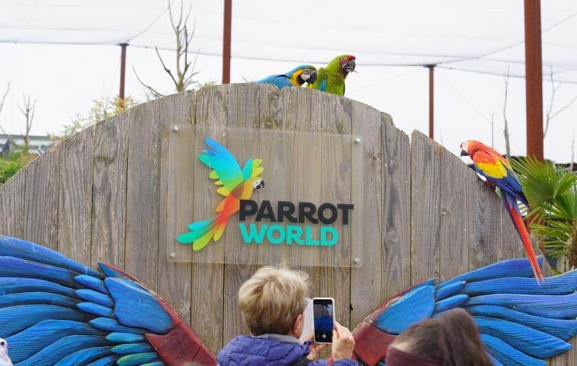 Parrot World parc animalier immersif - Volière géante d'Amazonie - Groupe face à des perroquets - Que faire autour de Disneyland Paris - Le Guide Complet
